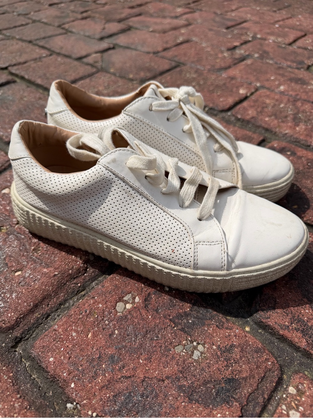 Steve Madden Cream Perforated Lace-Up Sneakers